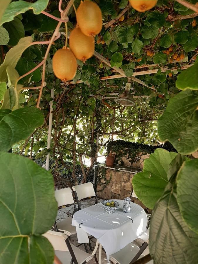 Vila Sailor'S Rustic House Virpazar Exteriér fotografie