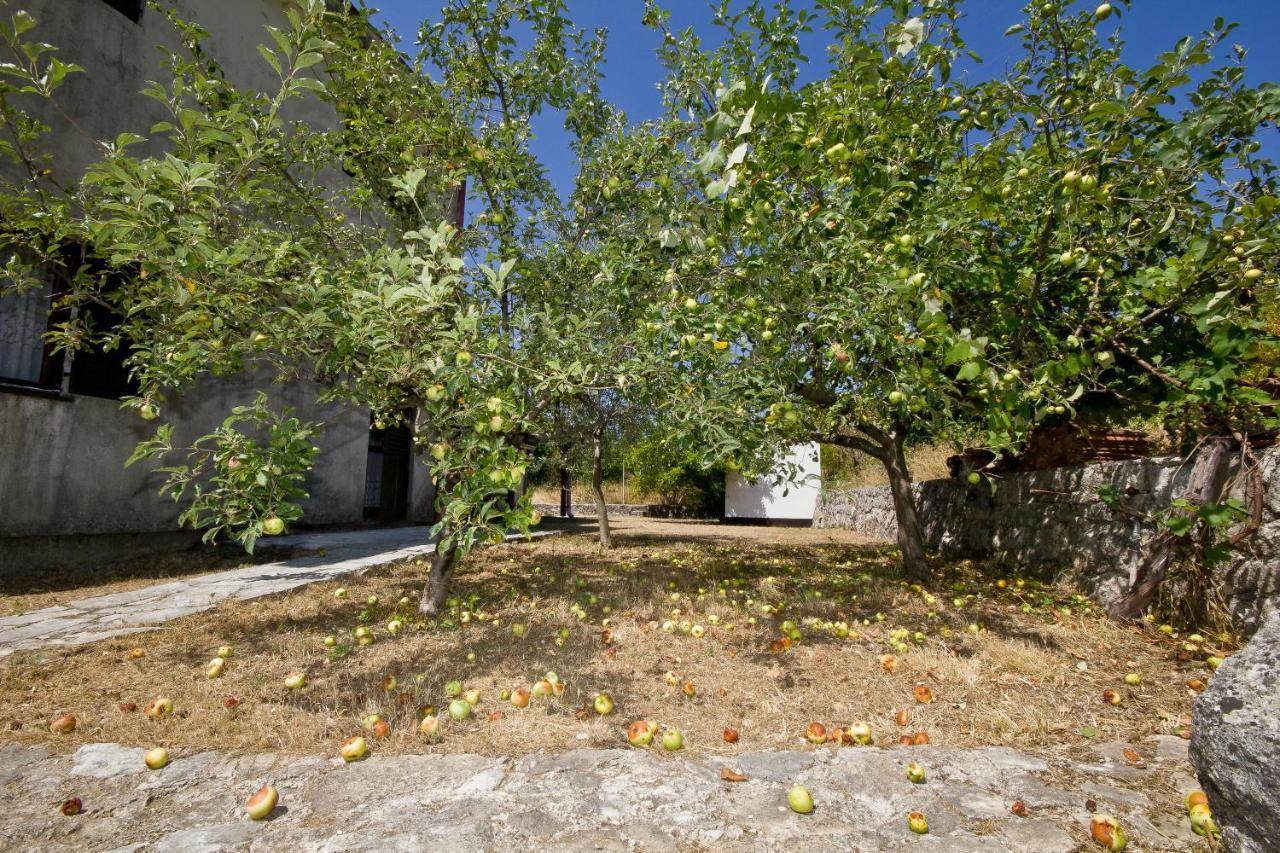 Vila Sailor'S Rustic House Virpazar Exteriér fotografie