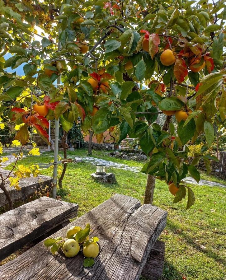 Vila Sailor'S Rustic House Virpazar Exteriér fotografie