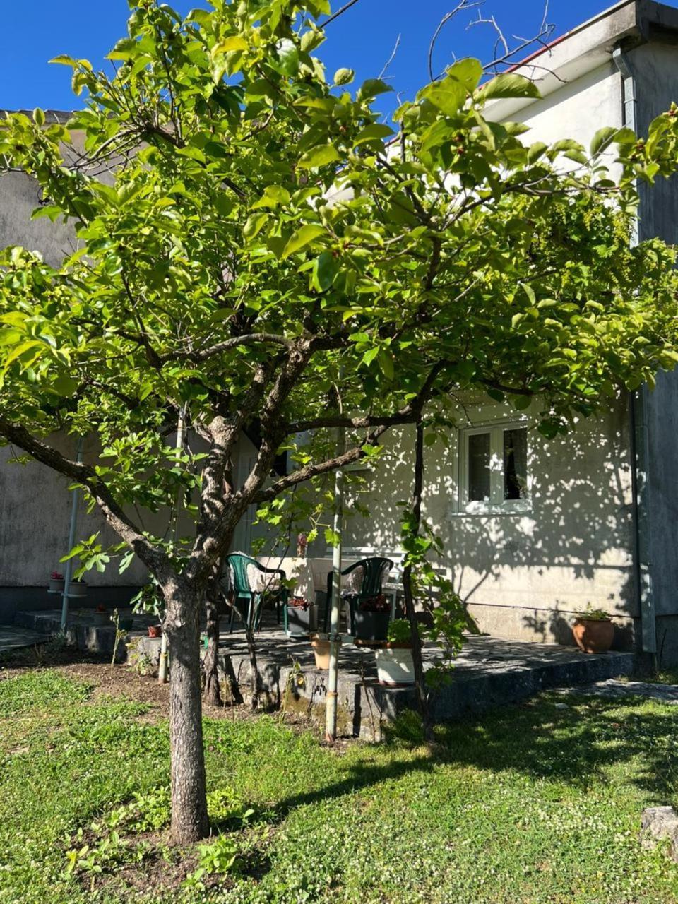 Vila Sailor'S Rustic House Virpazar Exteriér fotografie
